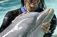 Bia Figueiredo passa o dia com golfinhos em Portugal