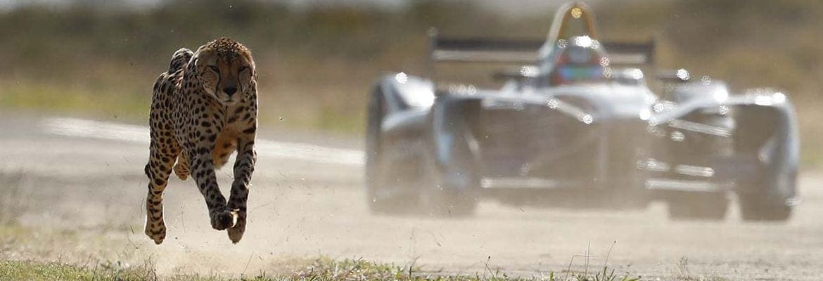 VÍDEO: Fórmula E desafia guepardo na savana africana
