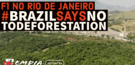 F1Mania.net Em Dia: #BrazilSaysNoToDeforestation: F1 no Rio de Janeiro