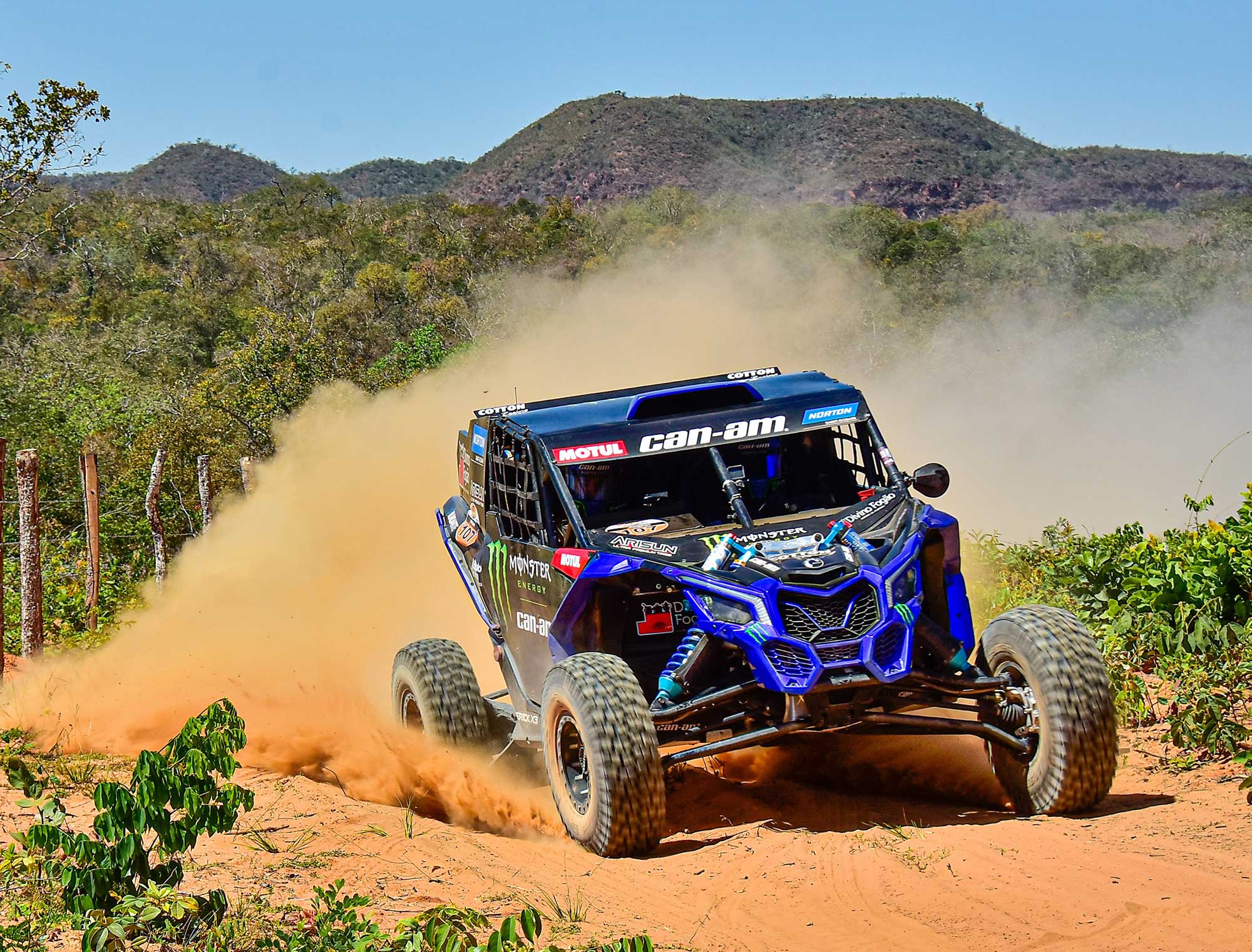 Bruno Varela - Sertões