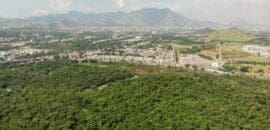 F1Mania.net Em Ponto #70: F1 no Rio? Não na Floresta do Camboatá!