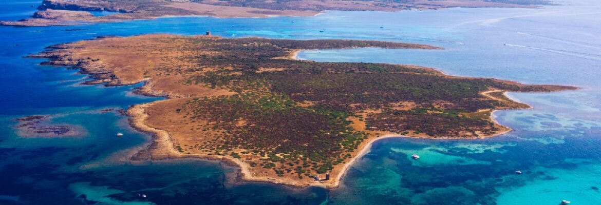 Extreme E: Confira horários e programação do xPrix da Ilha 2021