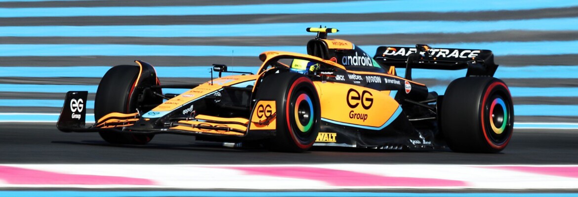 Norris esperava ser superado por Alonso no GP da França