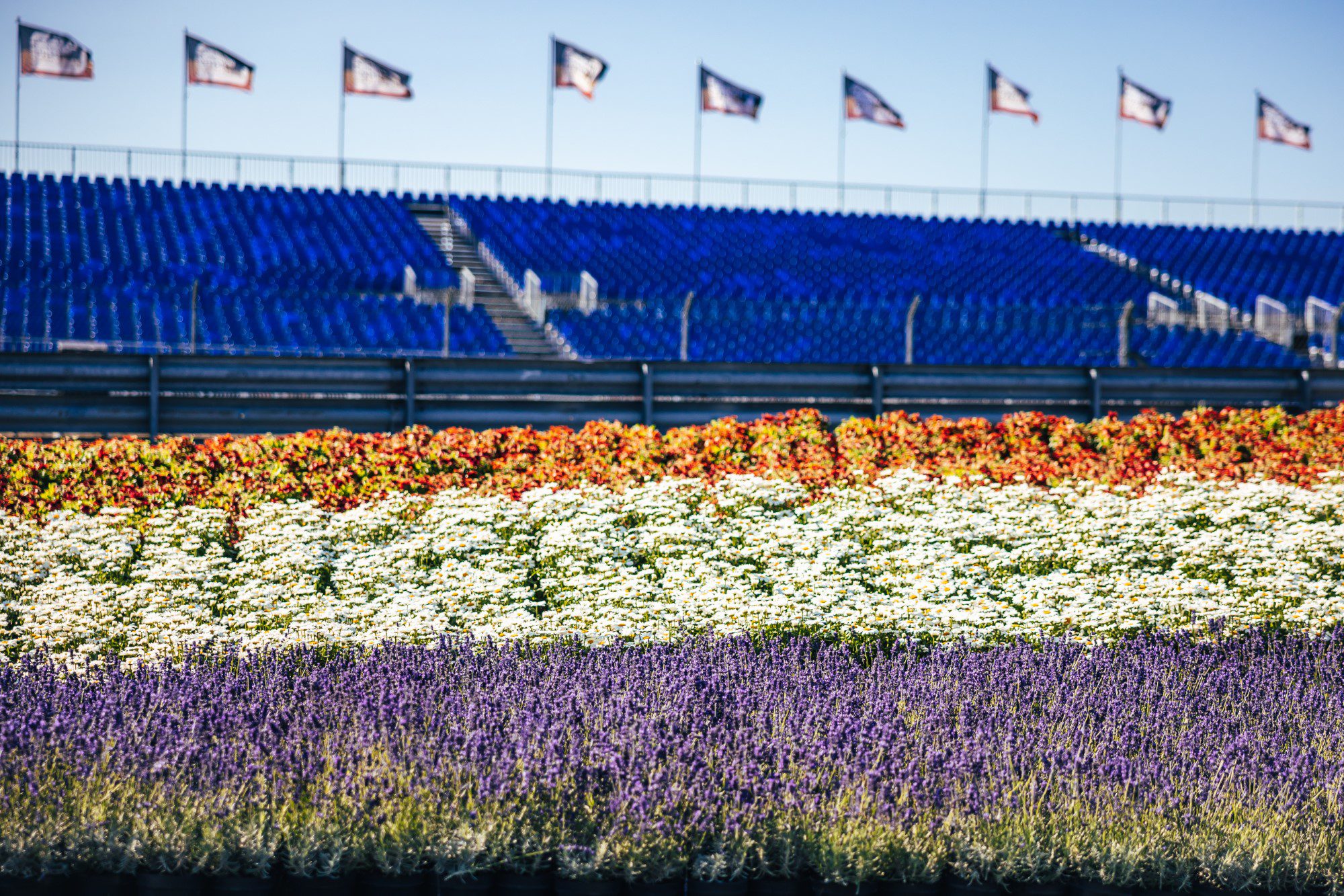 F1 2022, GP da Holanda, Zandvoort