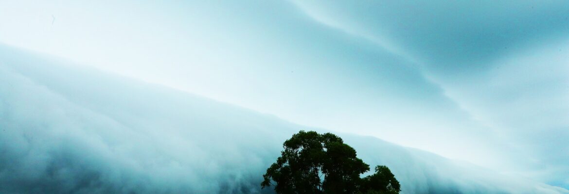 Pilotos traçam objetivos para etapa da Porsche Cup no Velocitta: “Recuperar primeira etapa ruim”