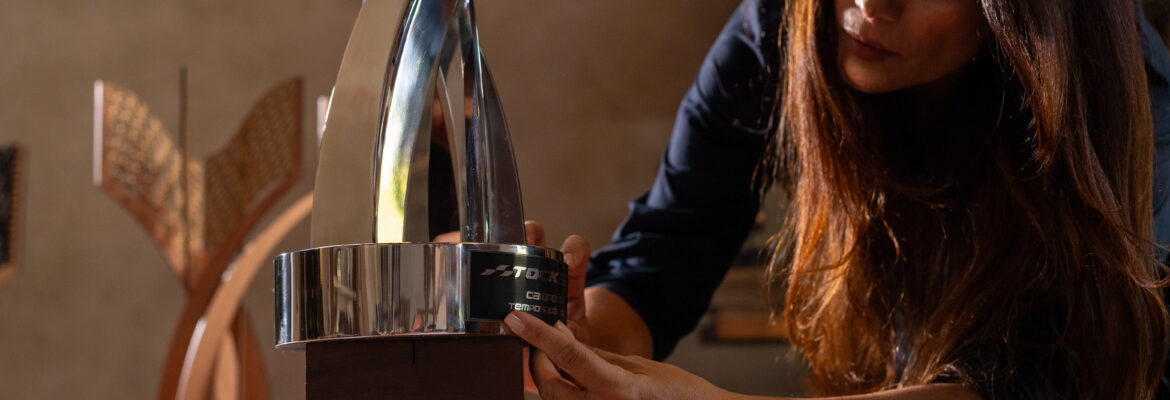 Artista plástica assina novo troféu do campeão da Stock Series