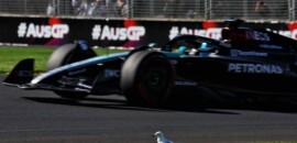 F1: Alonso é investigado por ‘brake test’ no acidente de Russell