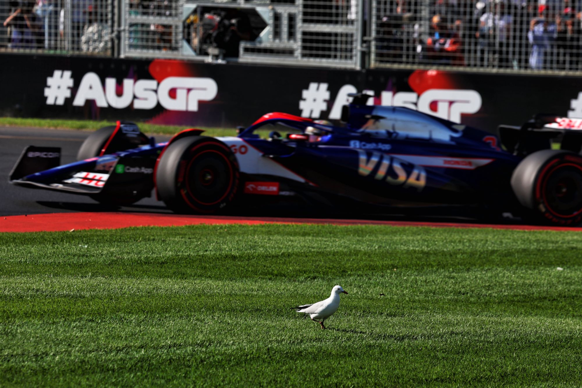 F1: As imagens da pole de Verstappen para o GP da Austrália; confira as fotos F1 2024, Fórmula 1, GP da Austrália, Melbourne, Albert Park