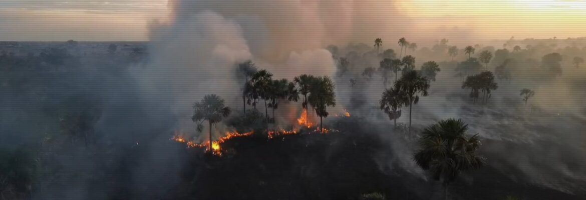 Amazon Desert Rally: projeto da Stock Car alerta para o ponto de não retorno da Floresta Amazônica