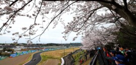 F1: Verstappen garante nova dobradinha para a Red Bull no último treino para o GP do Japão