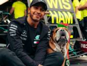 F1: Hamilton admite que sente falta de Roscoe e Coco “diariamente”