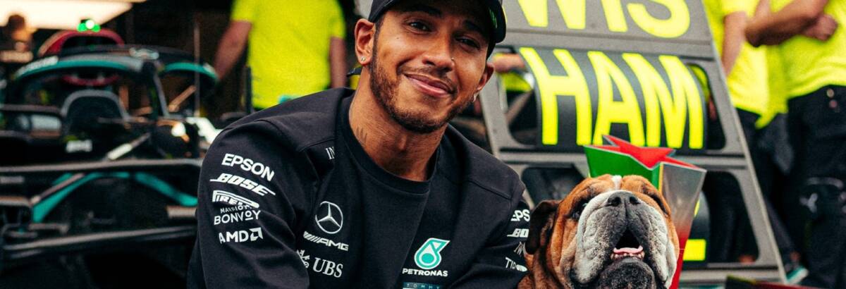 F1: Hamilton agradece apoio e mostra homenagem a Roscoe feita de Lego