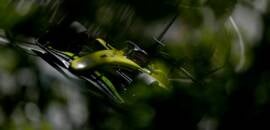 F2: Punições alteram grids das corridas de etapa do Canadá