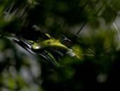 F2: Punições alteram grids das corridas de etapa do Canadá