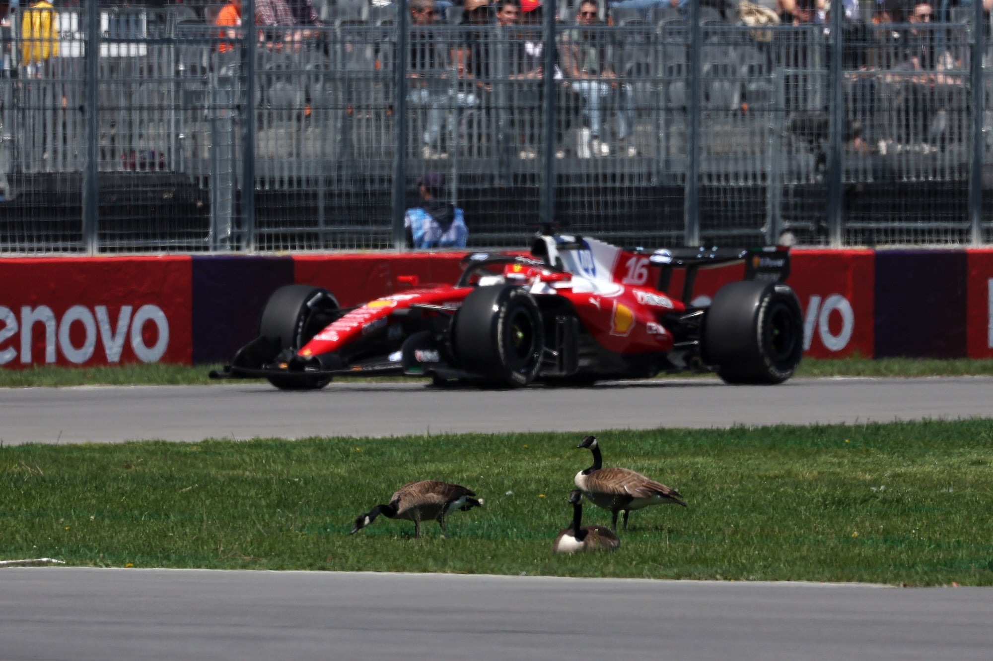 GP do Canadá 2026, Montreal, Fórmula 1, F1