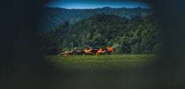 F1: Norris diz que P6 na classificação é “resultado dentro da realidade” na Áustria